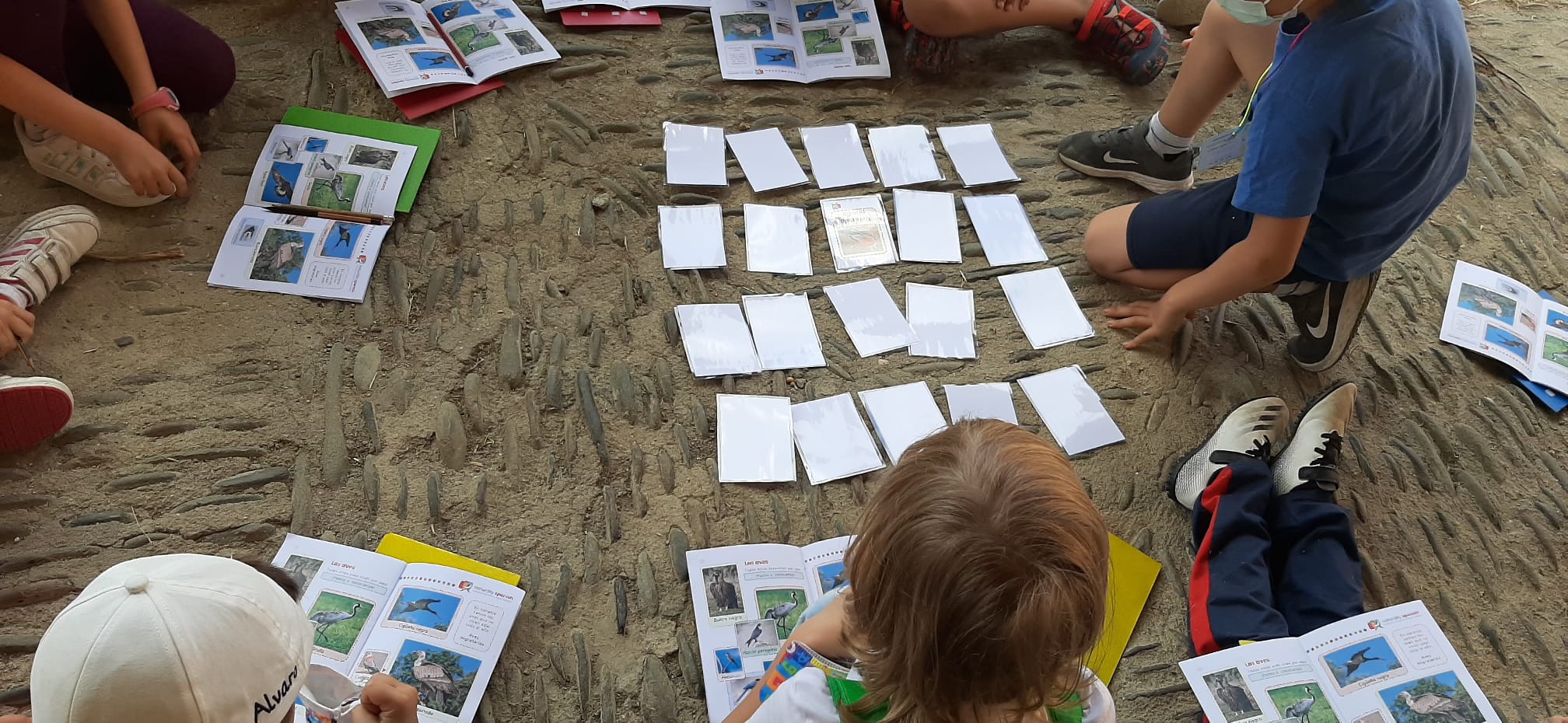 bt_bb_section_bottom_section_coverage_image